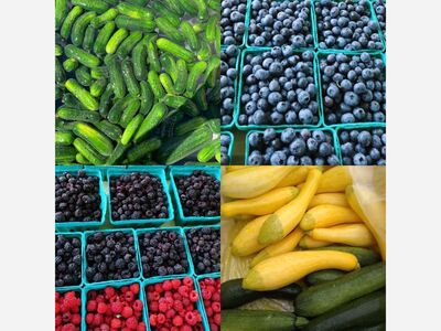 Casey’s Farmer’s Market in Gaithersburg is Now Open 