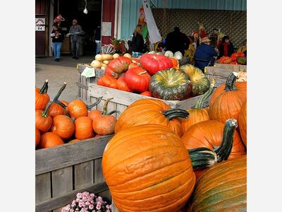 Gaithersburg Octoberfest Fest Sign-up