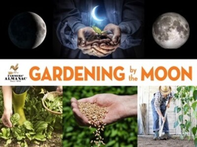 Moon Planting: A Guide for Gardeners in Gaithersburg, MD