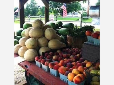 Fruits and Vegetables in Season in Maryland in July and How They Improve Our Health
