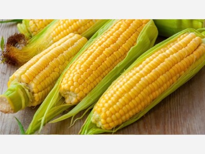 ALL ABOUT CORN! 