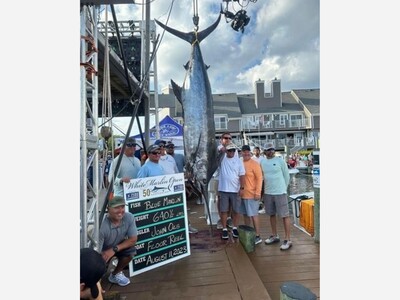 WORLD RECORD $6.2 MILLION BLUE MARLIN CAUGHT BY MONTGOMERY COUNTY RESIDENT!
