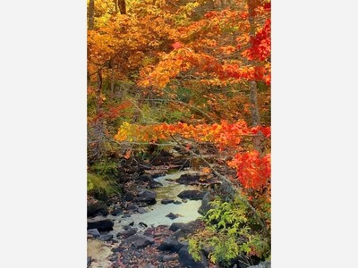 Official Fall is Saturday, September 23, 2023 