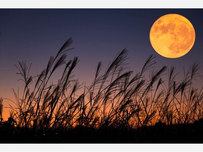 The Harvest Moon of 2023: A Spectacular Celestial Event