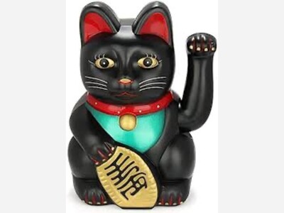 The Good Luck of Black Cats