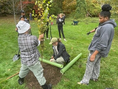 A Perfect Holiday Gift: Maryland’s ‘Gift of Trees’ ORDER NOW! 