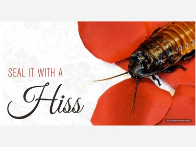 Ditch the Dozen: This Valentine's Day, Gift Your Ex a Delicious Cockroach 