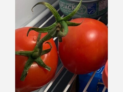 June 28, 1820: The Tomato Triumphs in Salem, New Jersey