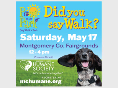 Paws in the Park Dog Walk and Fest